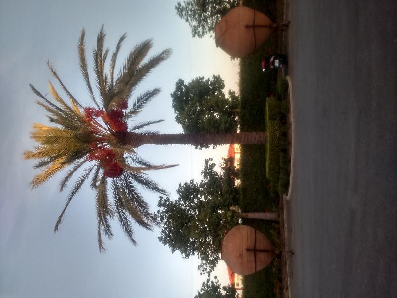 Hotel Fuente Las Piedras กาบรา ภายนอก รูปภาพ